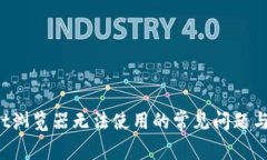  tpWallet浏览器无法使用的常见问题与解决方案