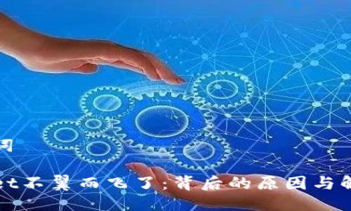 与关键词

tpWallet不翼而飞了：背后的原因与解决方案