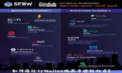 如何通过tpWallet购买币安链的币？