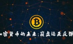 加密货币的未来：崩盘还是反弹？