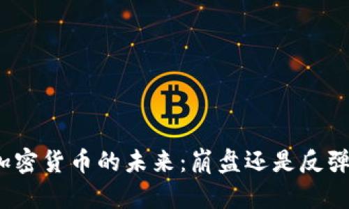 加密货币的未来：崩盘还是反弹？