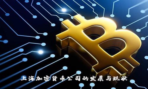  上海加密货币公司的发展与现状 
