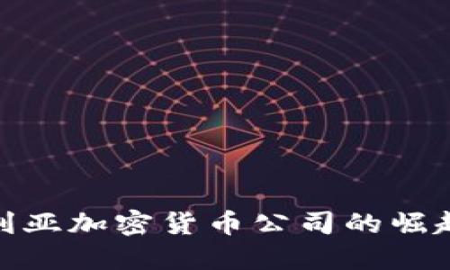 : 尼日利亚加密货币公司的崛起与挑战