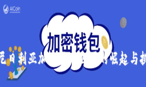 : 尼日利亚加密货币公司的崛起与挑战