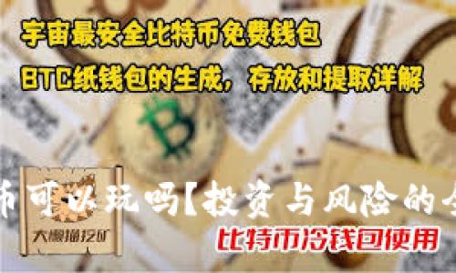 加密货币可以玩吗？投资与风险的全面分析