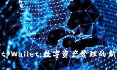 探索tpWallet：数字资产管理的新选择