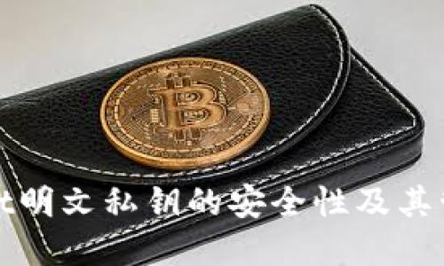 tpWallet明文私钥的安全性及其管理探讨