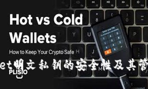 tpWallet明文私钥的安全性及其管理探讨