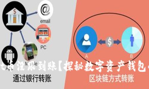 为何tpWallet币没跟到账？探秘数字资产钱包的安全与流程