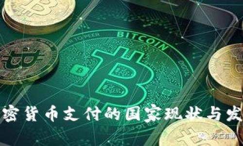 全球加密货币支付的国家现状与发展趋势
