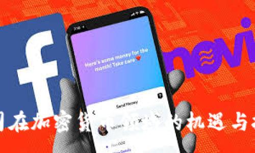 :
公司在加密货币领域的机遇与挑战