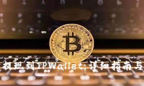 如何将交易所提现到TPWallet：详细指南与常见问题解析