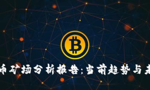 加密货币矿场分析报告：当前趋势与未来展望