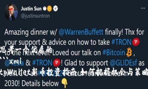 思考一个优质的
```xml
tpWallet新币投资指南：如何把握机会与策略