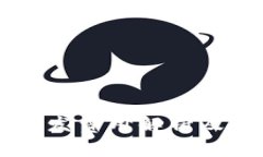 tpWallet开发费用解析及其影响因素