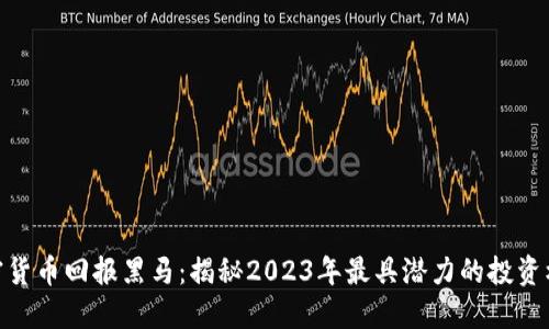 加密货币回报黑马：揭秘2023年最具潜力的投资机会
