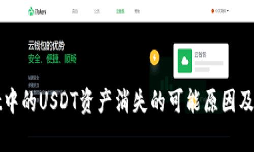 tpWallet中的USDT资产消失的可能原因及解决方案