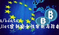 bdata/bdatatpWallet密钥安全性分析与防护措施