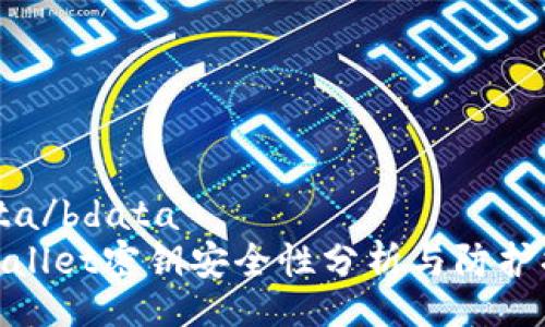 bdata/bdata
tpWallet密钥安全性分析与防护措施