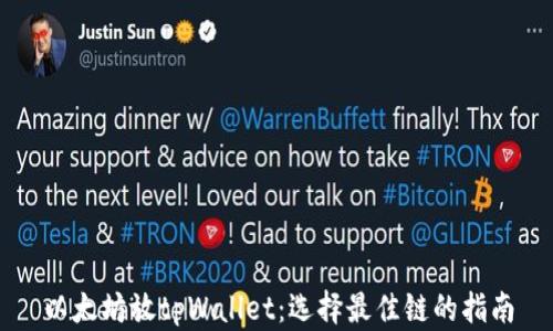 以太坊放tpWallet:选择最佳链的指南