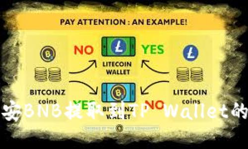 如何将币安BNB提取到TP Wallet的详细指南