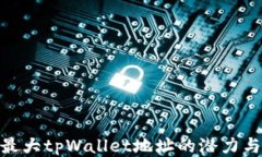 探究最大tpWallet地址的潜力与风险