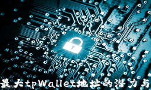 
探究最大tpWallet地址的潜力与风险