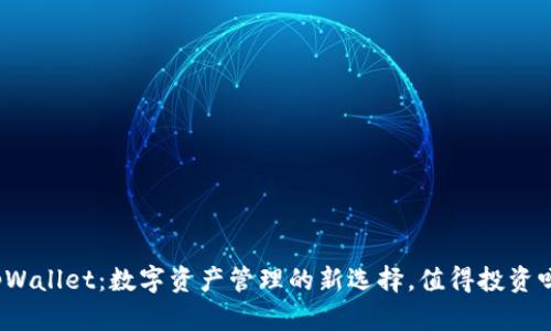 tpWallet：数字资产管理的新选择，值得投资吗？