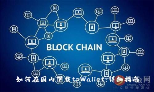 如何在国内下载tpWallet：详细指南