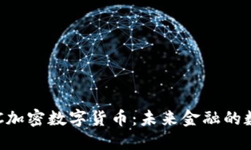 探秘SOC加密数字货币：未来金融的数字变革