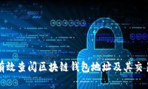 如何有效查阅区块链钱包地址及其交易历史