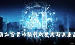 英国加密货币银行的发展与未来展望