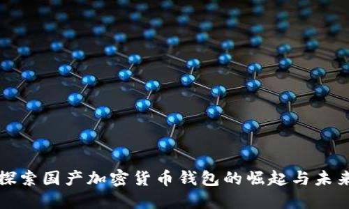 探索国产加密货币钱包的崛起与未来