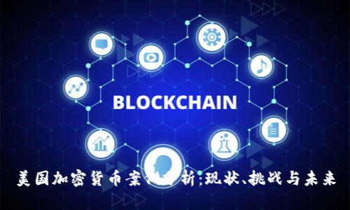 美国加密货币案例分析:现状、挑战与未来
