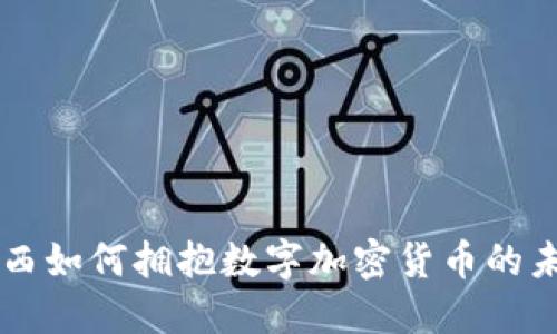 巴西如何拥抱数字加密货币的未来
