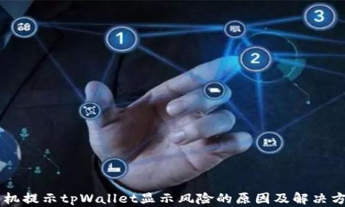 
手机提示tpWallet显示风险的原因及解决方案