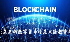 比特币：未来的数字货币还是风险投资的泡沫？