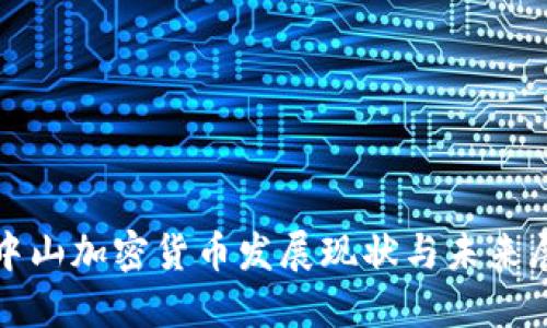 : 中山加密货币发展现状与未来展望