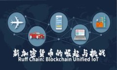 新加密货币的崛起与挑战