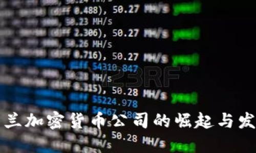 芬兰加密货币公司的崛起与发展