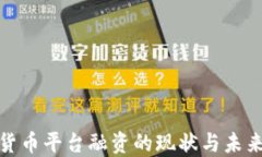 加密货币平台融资的现状与未来趋势