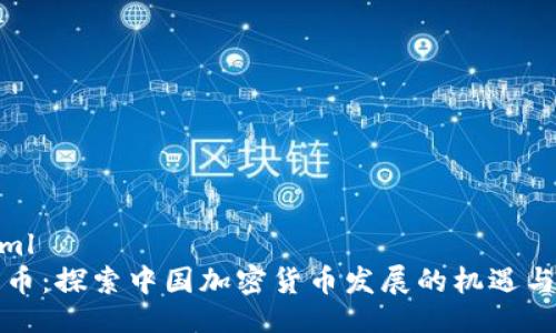 ```xml
比特币：探索中国加密货币发展的机遇与挑战