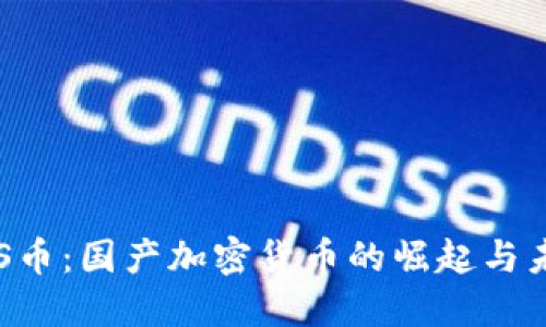 SOS币:国产加密货币的崛起与未来