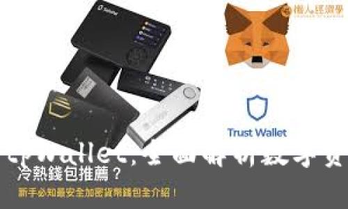 从欧易提币到tpWallet：全面解析数字资产转移的秘籍