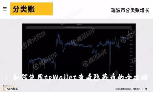 : 如何使用tpWallet查看隐藏币的全攻略