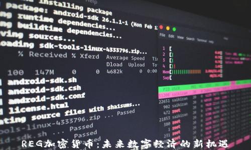 
REG加密货币：未来数字经济的新机遇