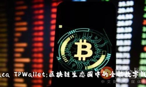 Raca TPWallet：区块链生态圈中的全能数字钱包