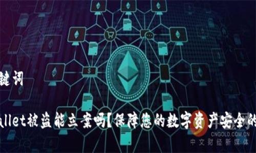 和关键词

tpWallet被盗能立案吗？保障您的数字资产安全的方法