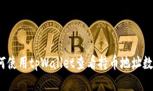 如何使用tpWallet查看持币地址数量？