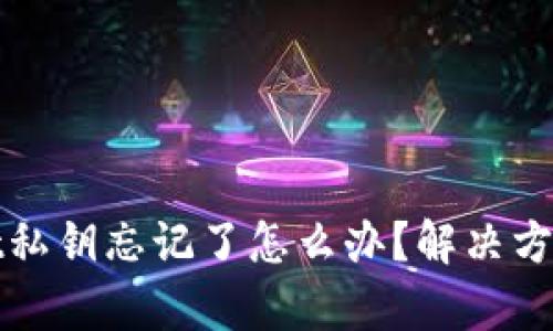tpWallet私钥忘记了怎么办？解决方案与建议